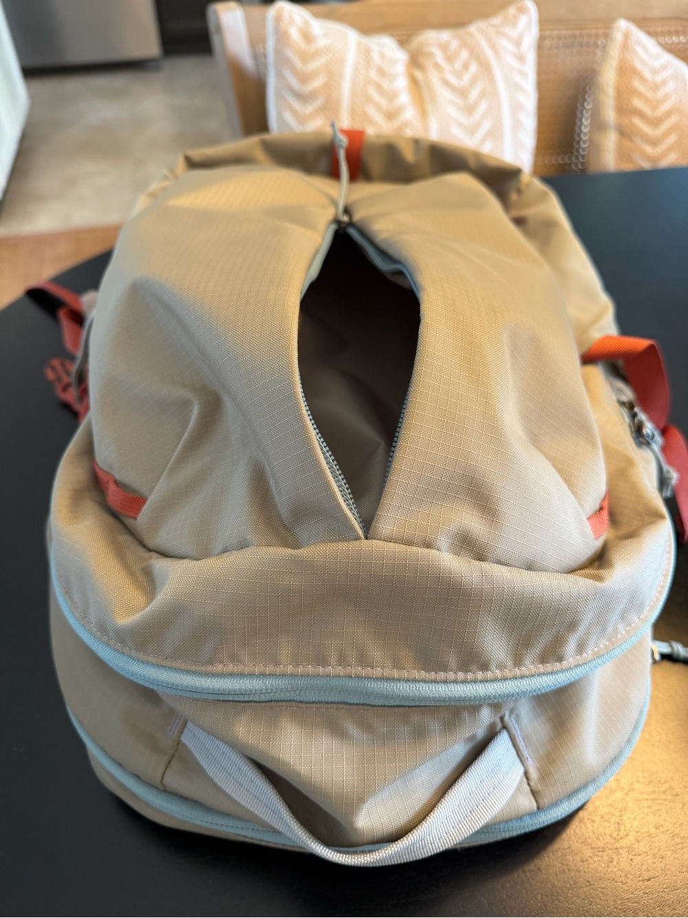 Patagonia Backpack - Picture 4 of 6